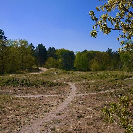 Luxe Chalet Op De Veluwe Ermelo Bagian luar foto