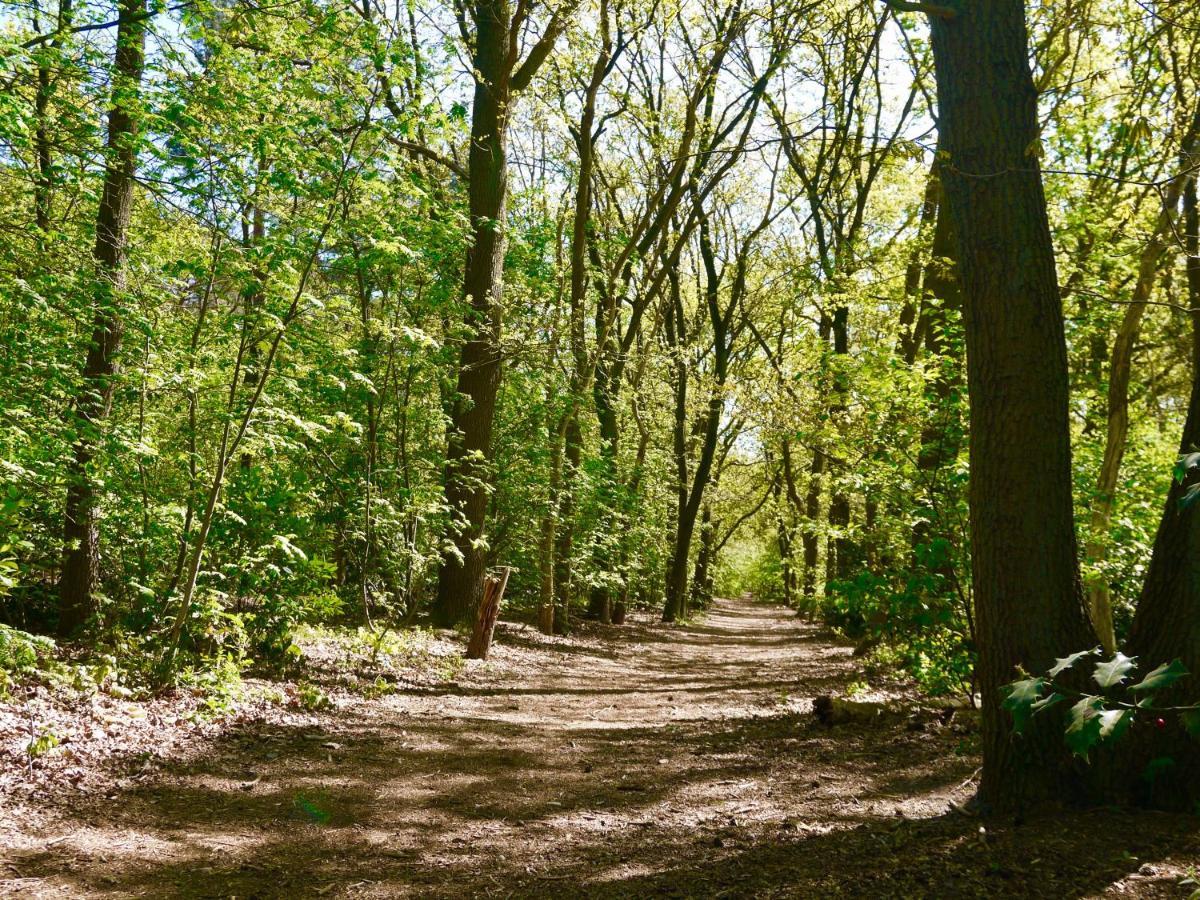 Luxe Chalet Op De Veluwe Ermelo Bagian luar foto